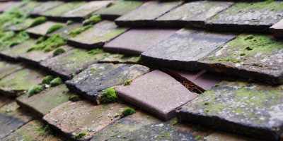 Kensington roof repair costs